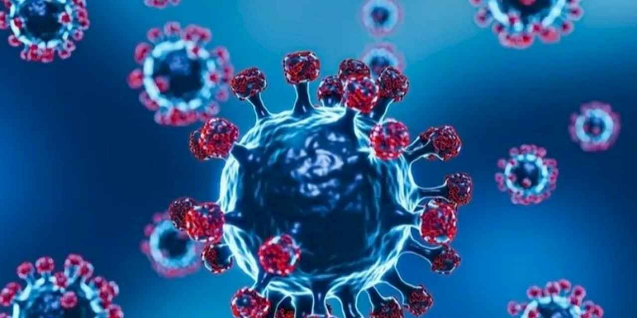 Yeni H3N2 varyantı ve korunma yöntemleri