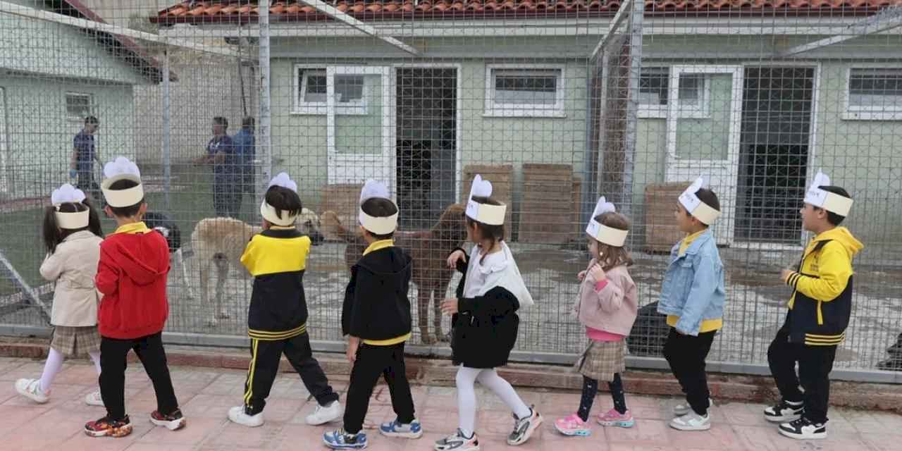 Muğlalı minik yüreklerden can dostlara ziyaret