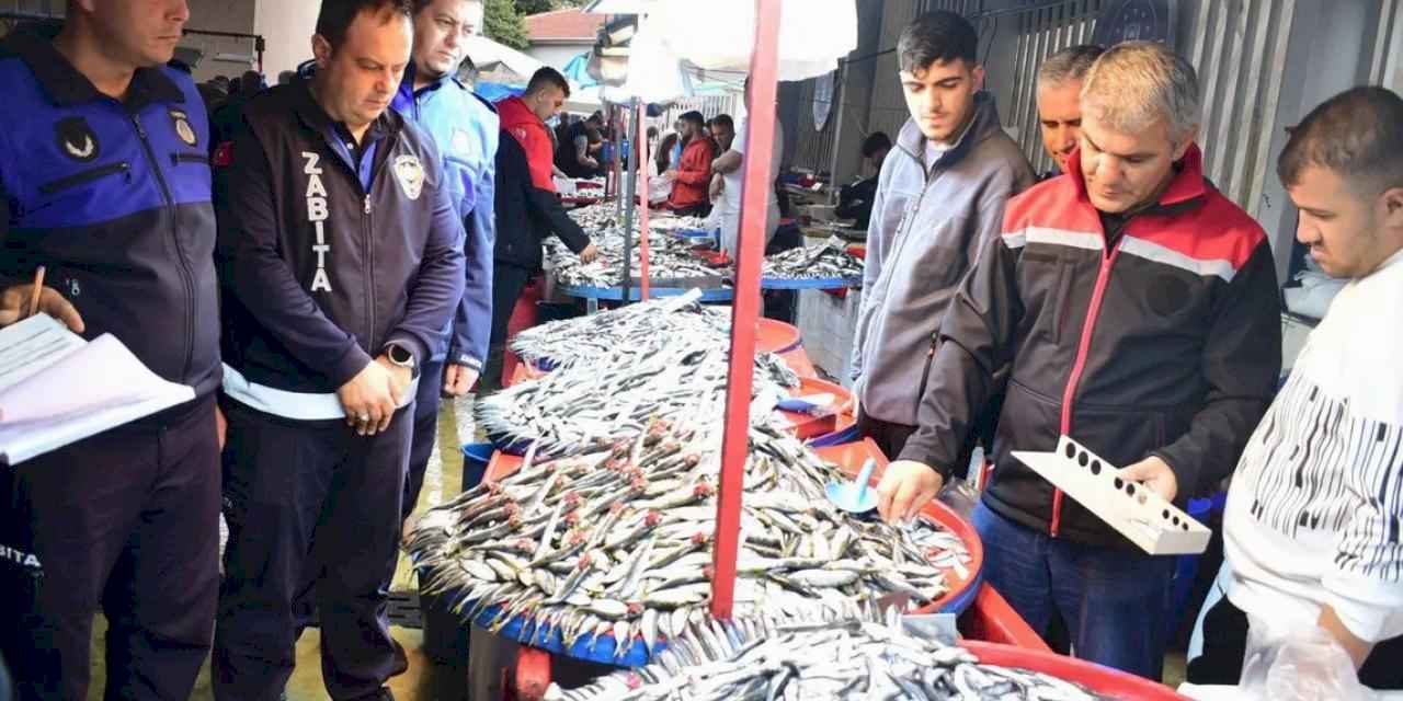 Bursa Yenişehir'de balık pazarına sıkı denetim