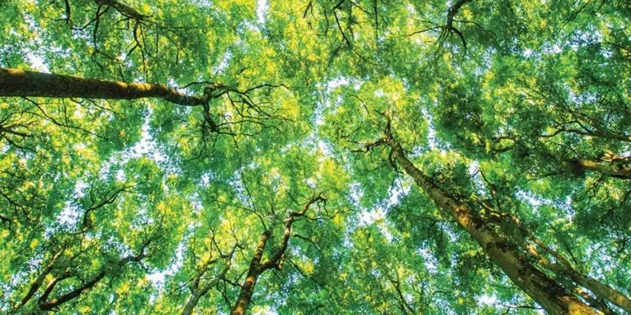 Schneider Electric'in Evreux Dağıtım Merkezi, “Sustainability Lighthouse” İlan Edildi 