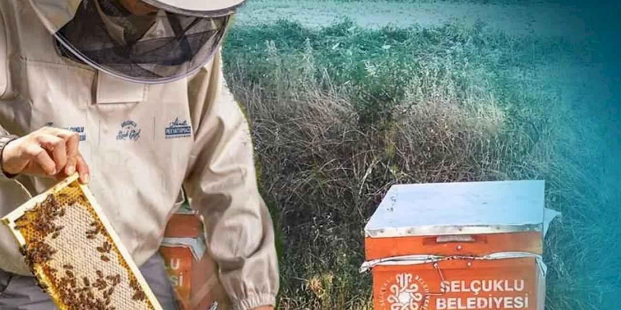 Konya Selçuklu’da arıcılığa güçlü destek