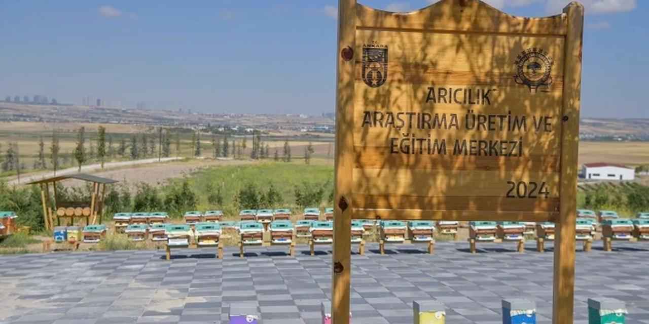 ABB'den arıcılık için dev proje