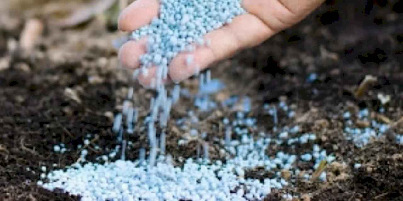 Tarımsal kirliliğe sıkı denetim! Nitrata hassas bölgeler belirlenecek