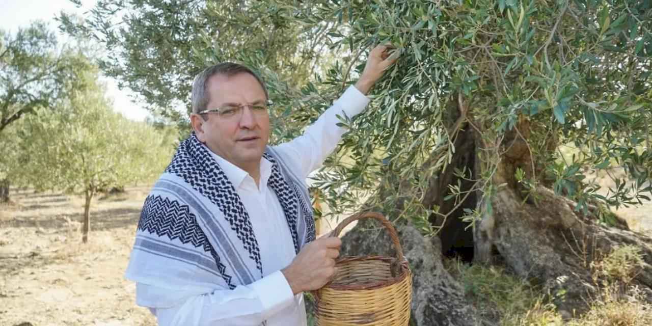 Ayvalık, zeytin ve zeytinyağının buluşma noktası olacak