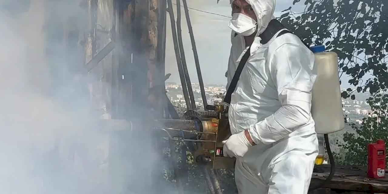 Kahverengi kokarca mücadelesinde 1 milyon haneye ilaçlama