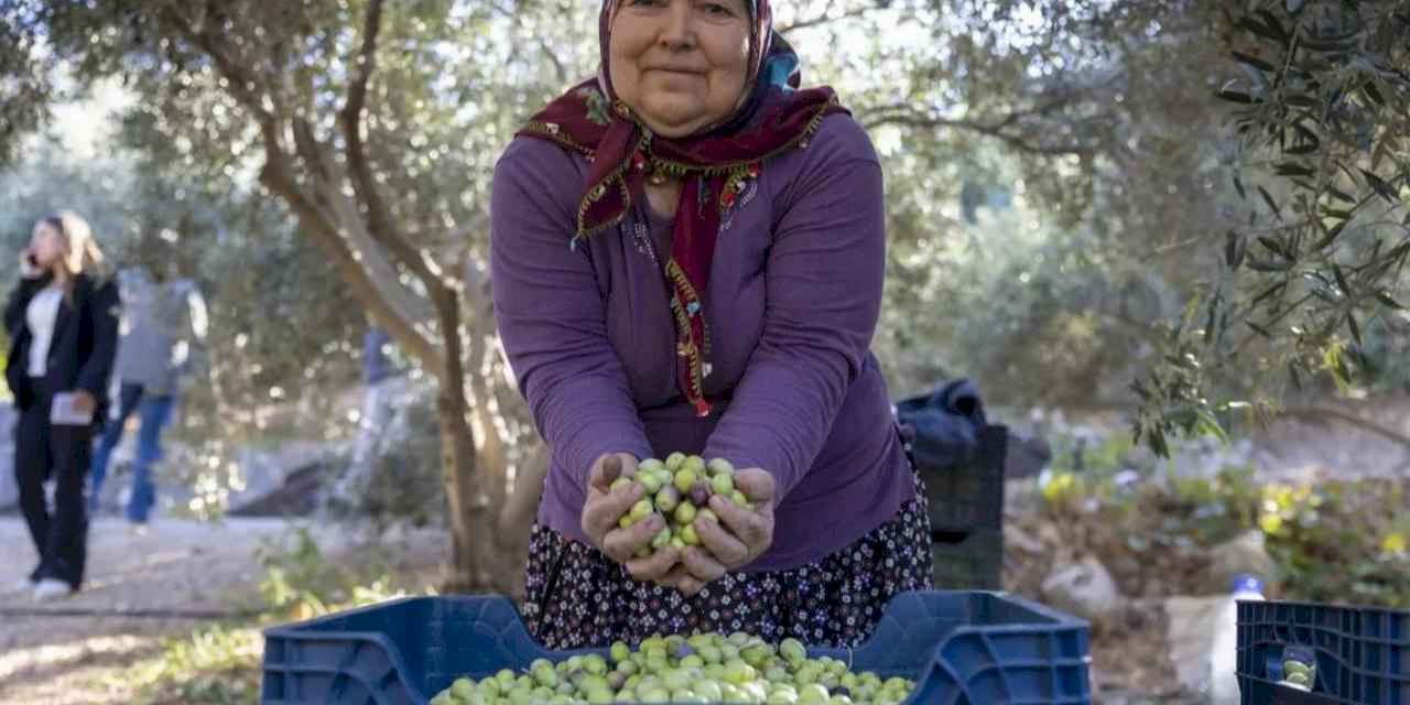 Mersin’de kadın eli toprağa değer katıyor