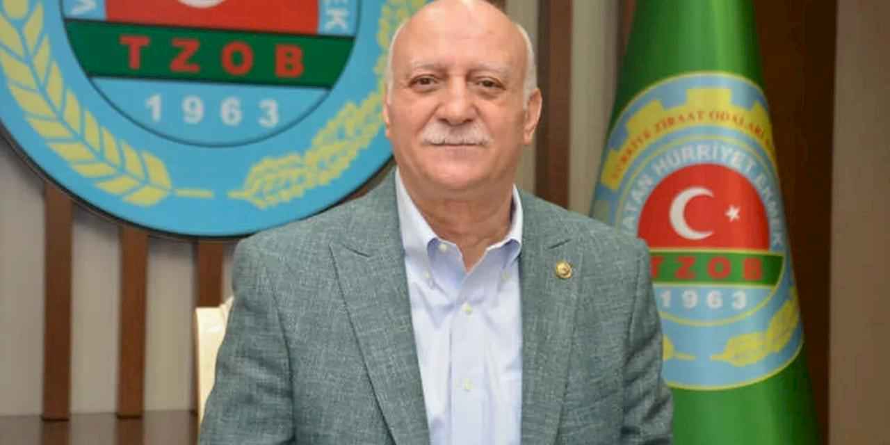 TZOB: Kırsaldaki kadınların çoğu halen güvencesiz