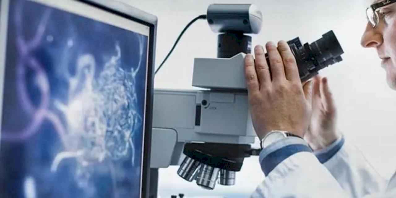 Hizmette en yüksek artış mesleki ve bilimsel oldu