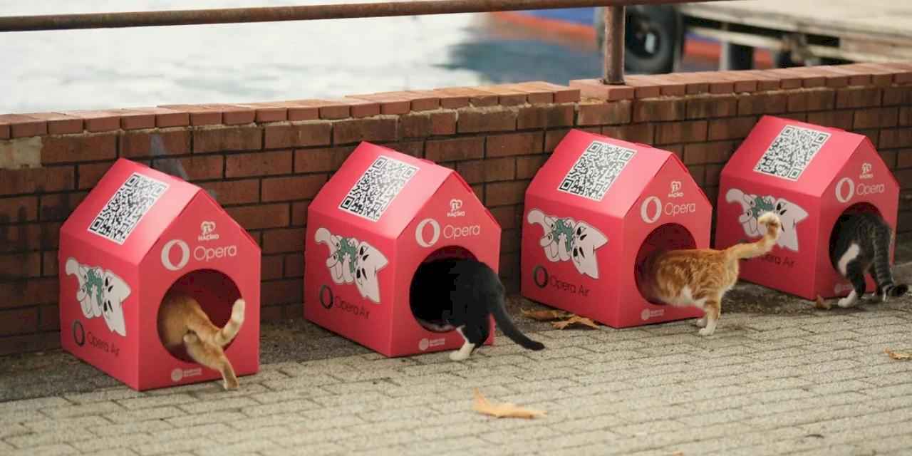 Opera 'Kedi Mahallesi' Oluşturmak için HAÇİKO ile Güçlerini Birleştirdi