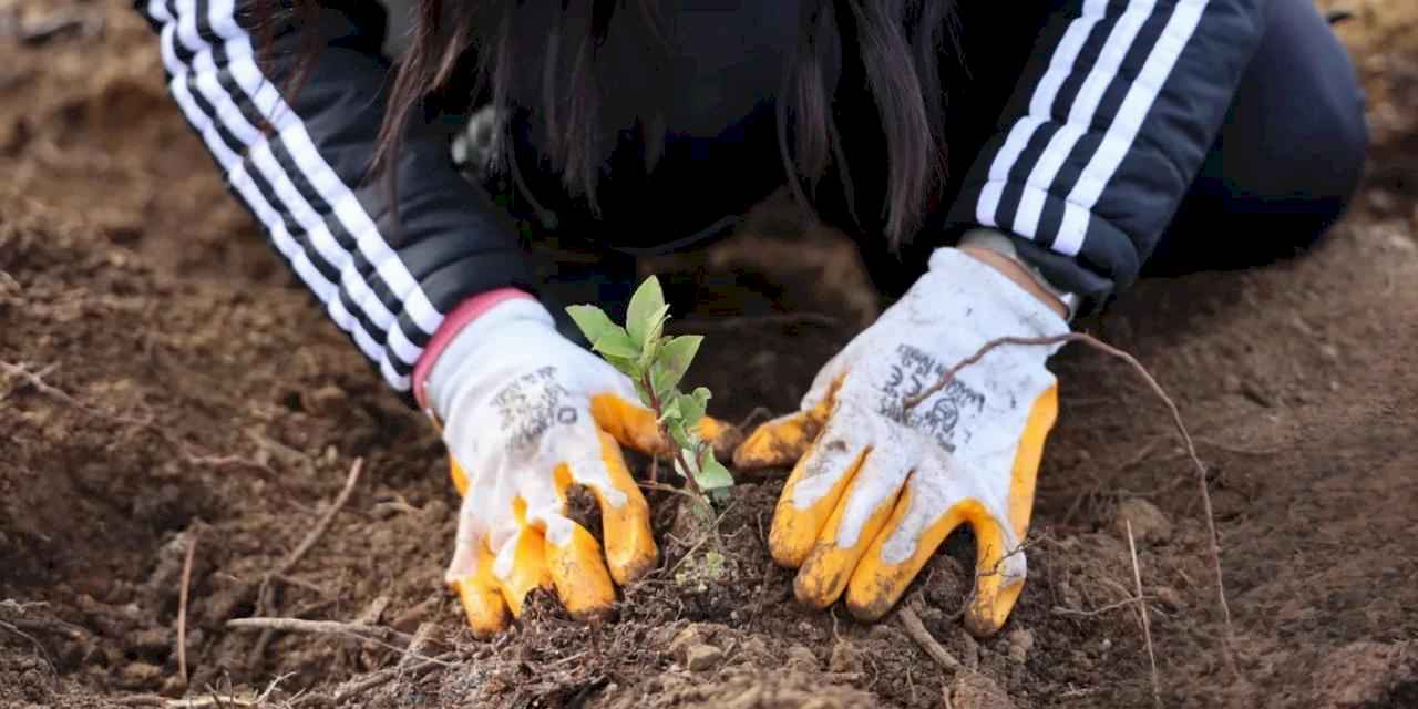 Uludağ Elektrik’ten doğa dostu çözüm