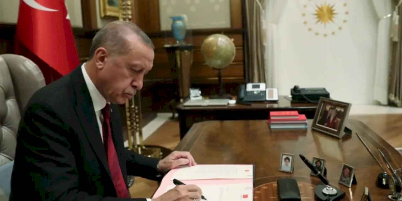 Cumhurbaşkanlığı'na yeni daire başkanlığı kuruldu