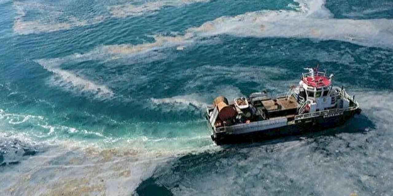 Müsilaj mağduru balıkçıya ek destek!