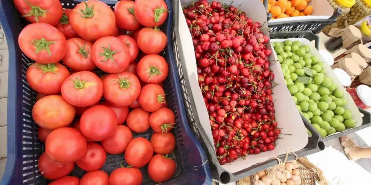 Efes Tarlası Yaşam Köyü’nde Üretici Pazarı 19 Ekim'de kapılarını açıyor