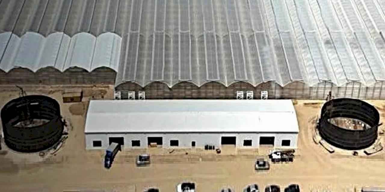 Kozanlar Jeotermal’in Kazakistan’daki Sera Projesinin Isıtma Altyapısı Mimsan’a Emanet