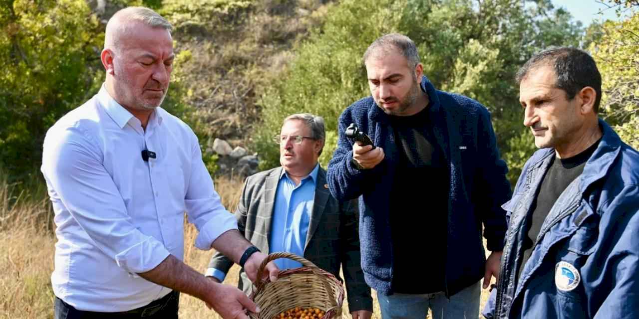 Bursa Karacabey 'Alıç Meyvesi'ni dünya pazarında tanıtacak!