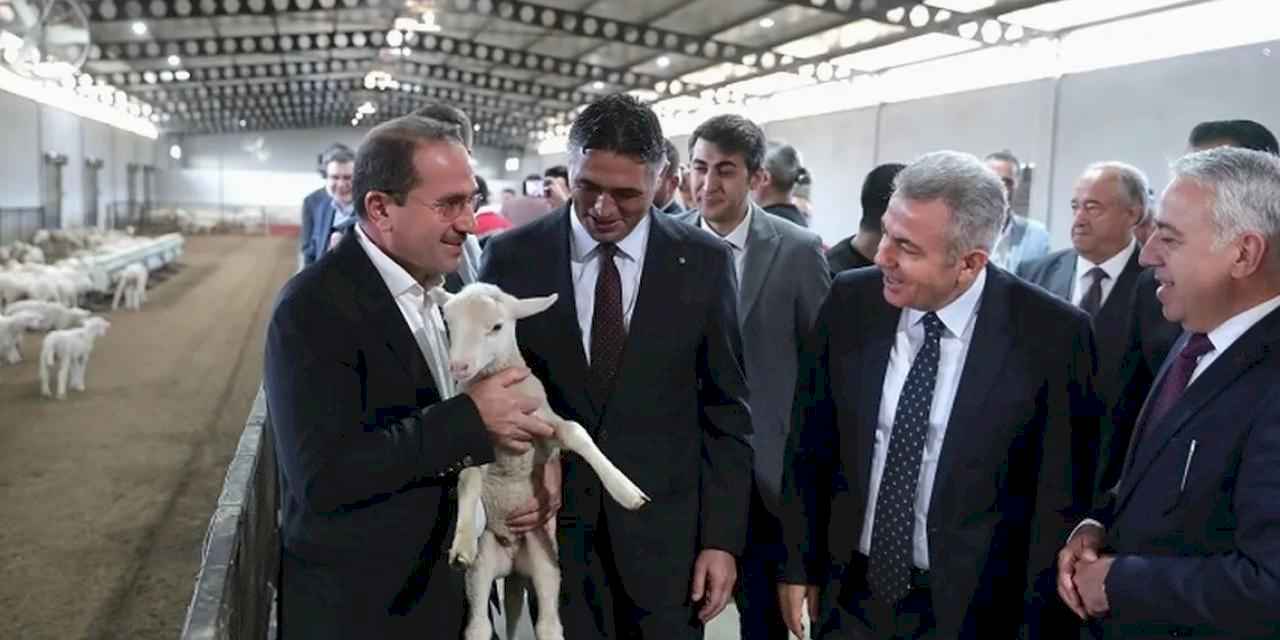 İzmir Aliağa tarımsal kalkınmada örnek oluyor