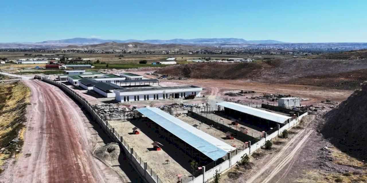 Kayseri Kocasinan'ın can dostlar merkezi örnek olacak