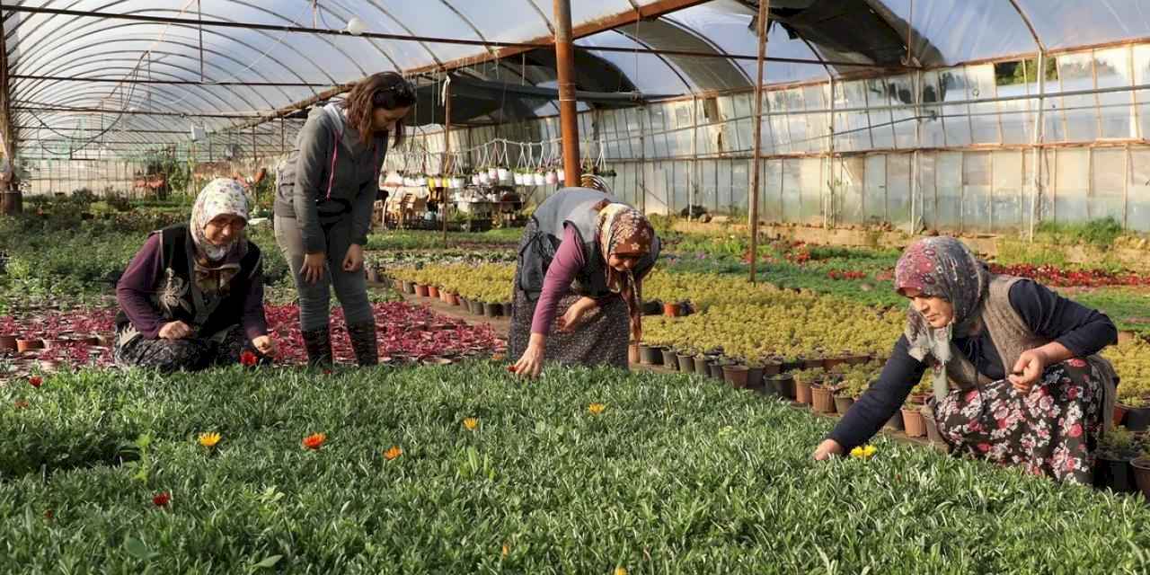 Muğla’da kadın emeğiyle gelecek inşa ediliyor