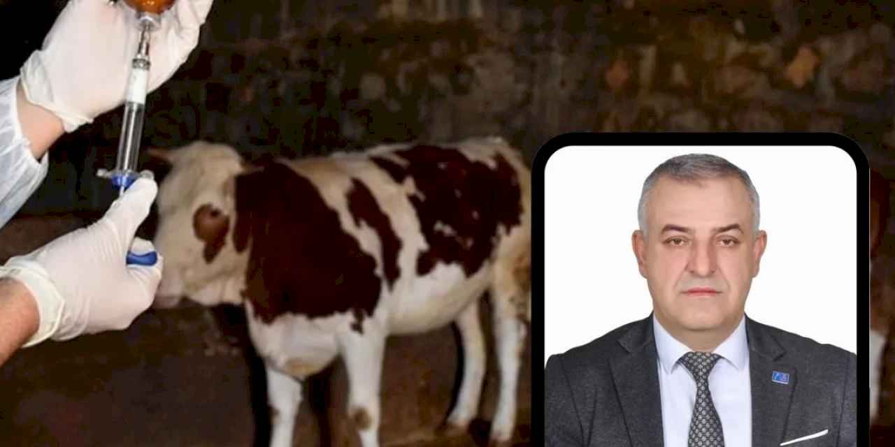 Bursa Mustafakemalpaşa’da şap alarmı!