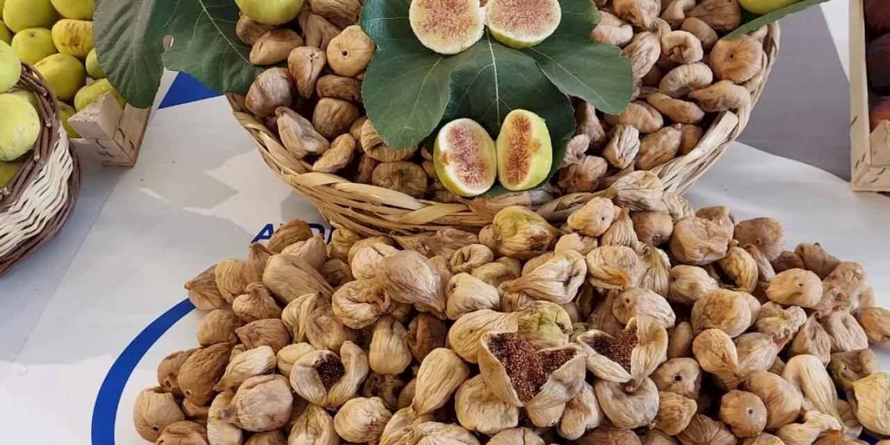 Kuru incir ihracatında tarihi rekor