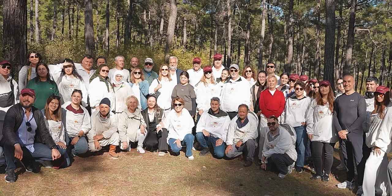Türk Çam Balı Coğrafi İşaretle Dünyaya Açılmaya Hazırlanıyor