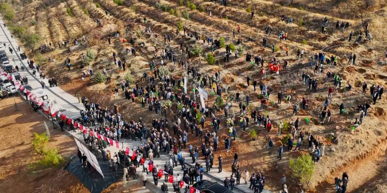 Malatya'da deprem şehitleri hatıra ormanı yenileniyor