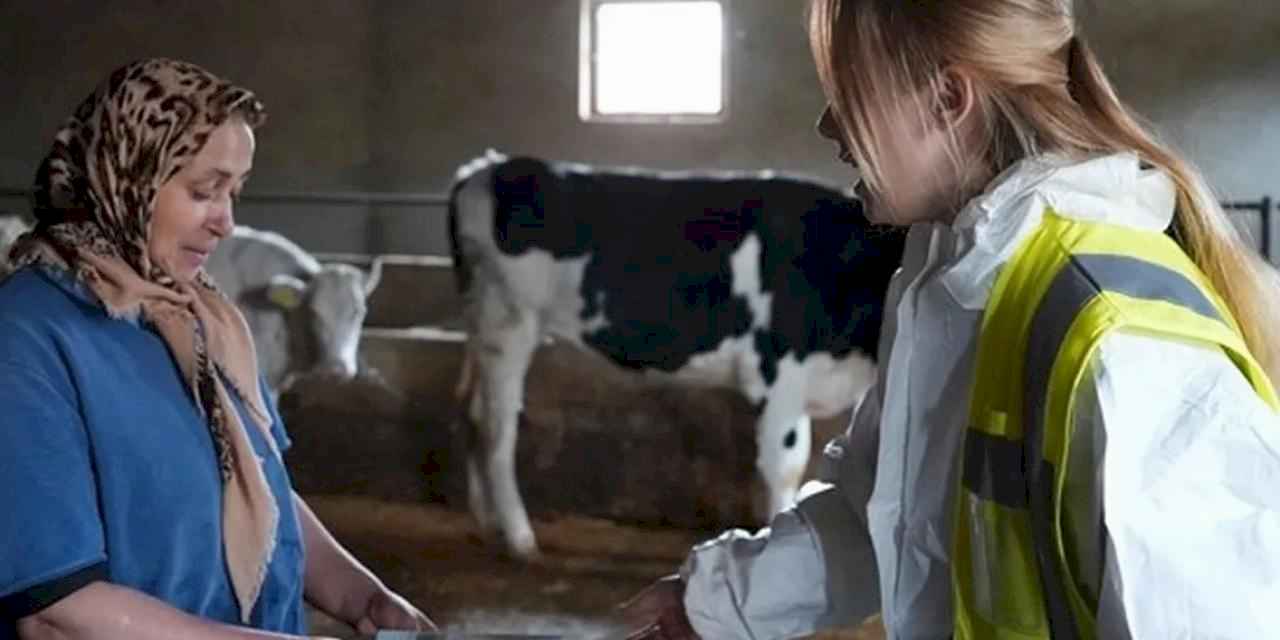 Denizli’de ücretsiz veteriner danışmanlık hizmeti yaygınlaşıyor