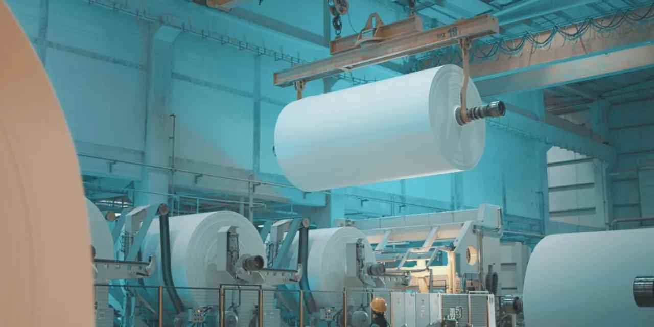 Lila Kağıt, Kâr Odaklı Stratejisi İle Değer Yaratmaya Devam Ediyor