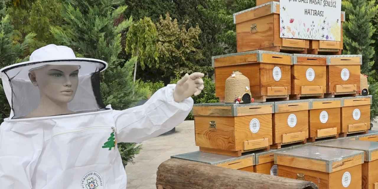 Muğla’da çam balı hasadı coşkuyla kutlandı