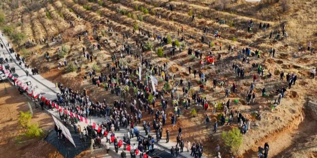 Deprem Şehitleri Hatıra Ormanı yenileniyor