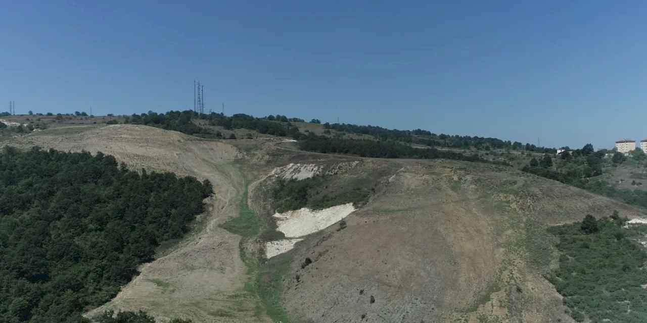 Kocaeli'de Kandıra Akçakese’ye 4 bin 500 ağaçlık doğal orman