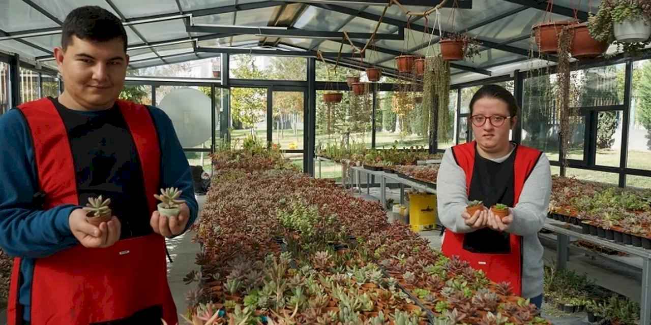 Konya Selçuklu'da otizmliler sukulentleri sevgiyle yetiştiriyor