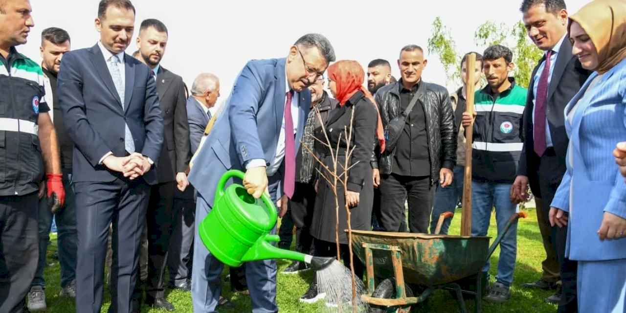 Trabzon’da 37 bin fidan toprakla buluştu