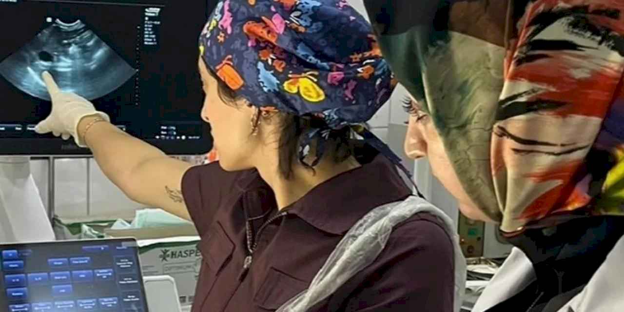 Fatih Belediyesi'nden sokak hayvanlarına modern tanı hizmeti