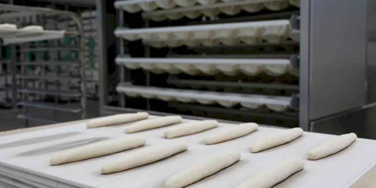 Antalya Halk Ekmek’ten glütensiz üretim müjdesi