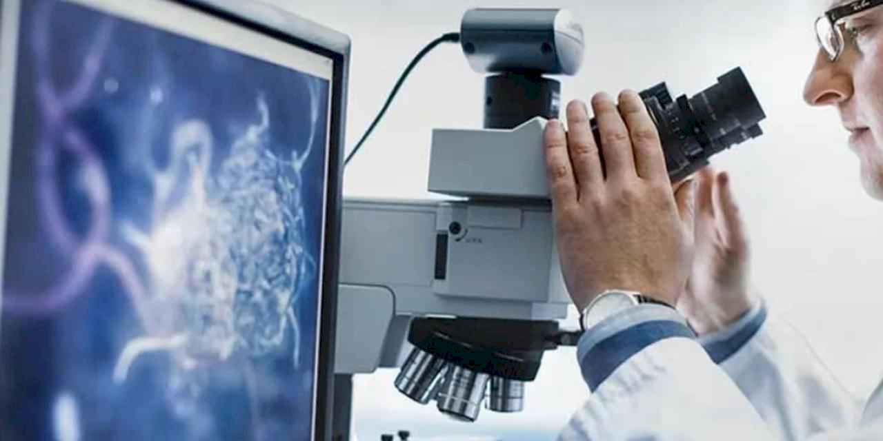 Bilimsel araştırma geliştirme hizmetleri revaçta