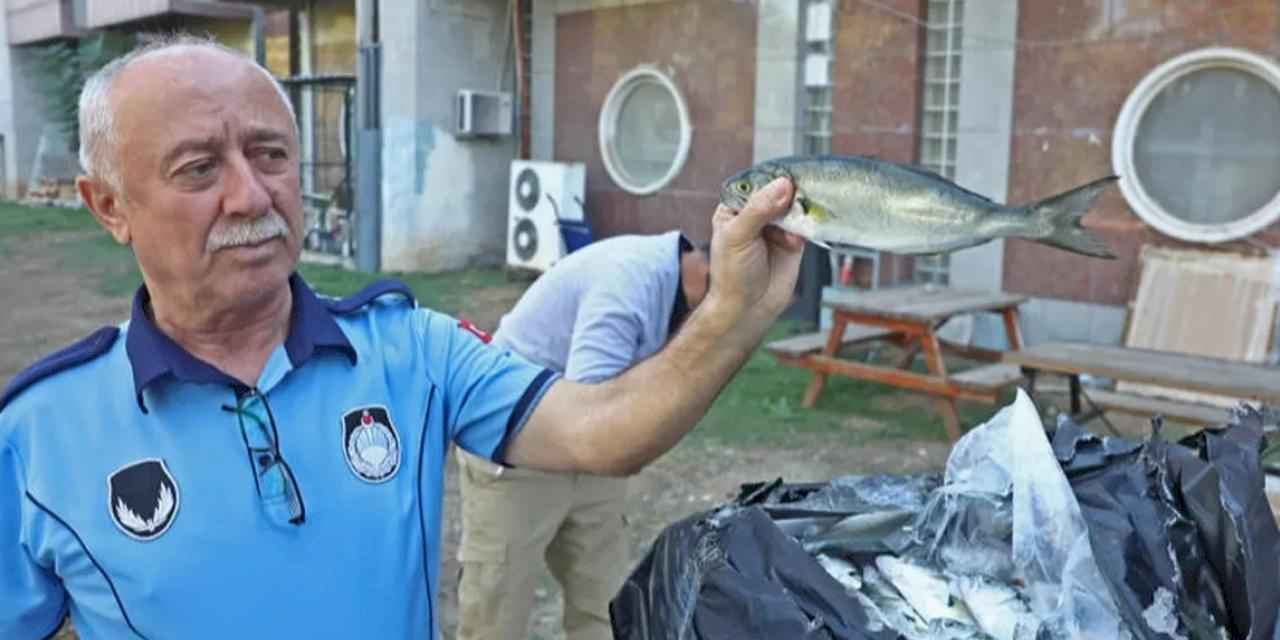 Antalya Büyükşehir zabıtasından otogarda usulsüz taşımacılığa operasyon