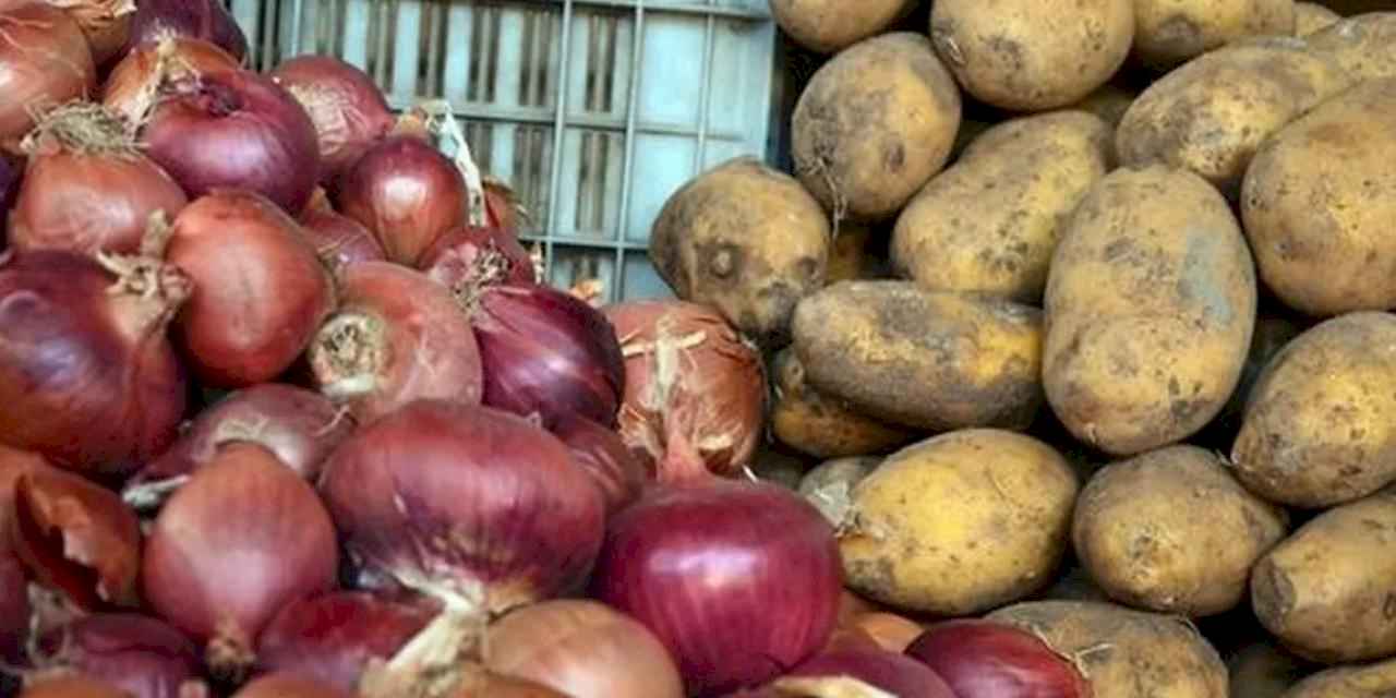 Ticaret Bakanlığı: Patates 25 lira değil!