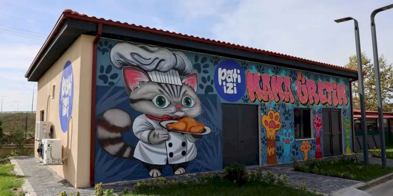 Sakarya'da yemek atıkları mamaya dönüşüyor