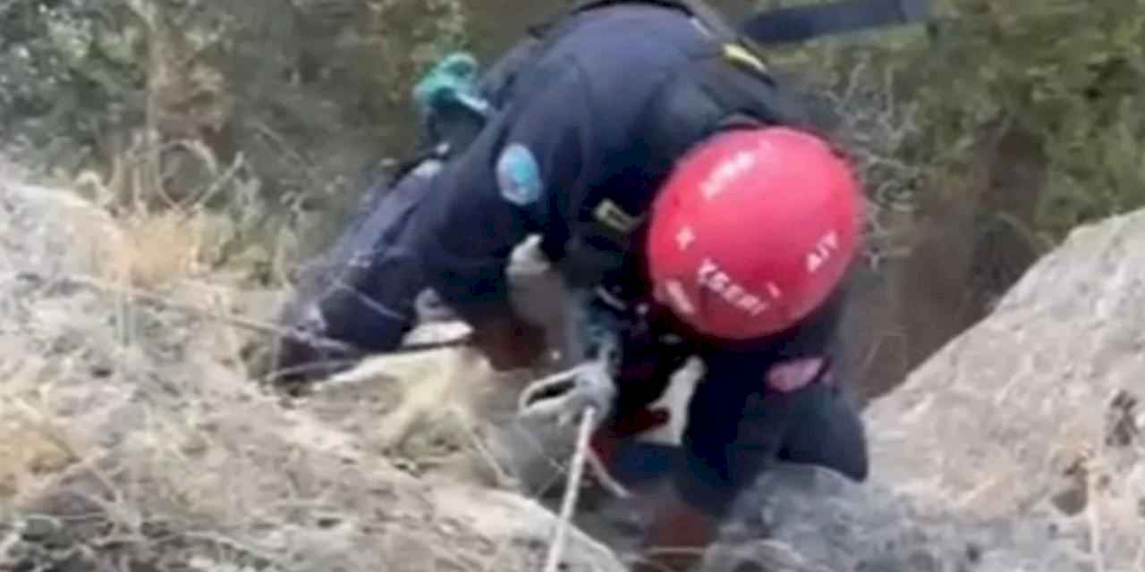 Kayseri Büyükşehir itfaiyesi mahsur kalan keçiyi kurtardı