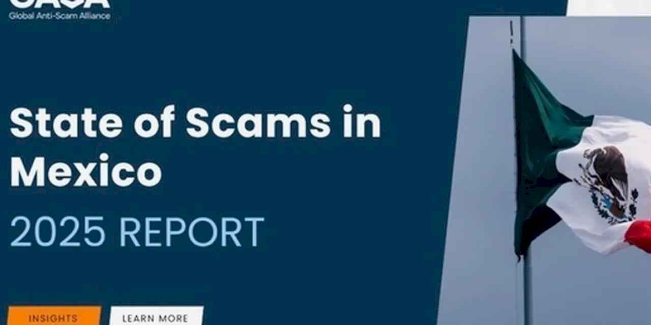 Meksika'da 4 günde bir dolandırıcılık girişimi ile karşılaşılıyor