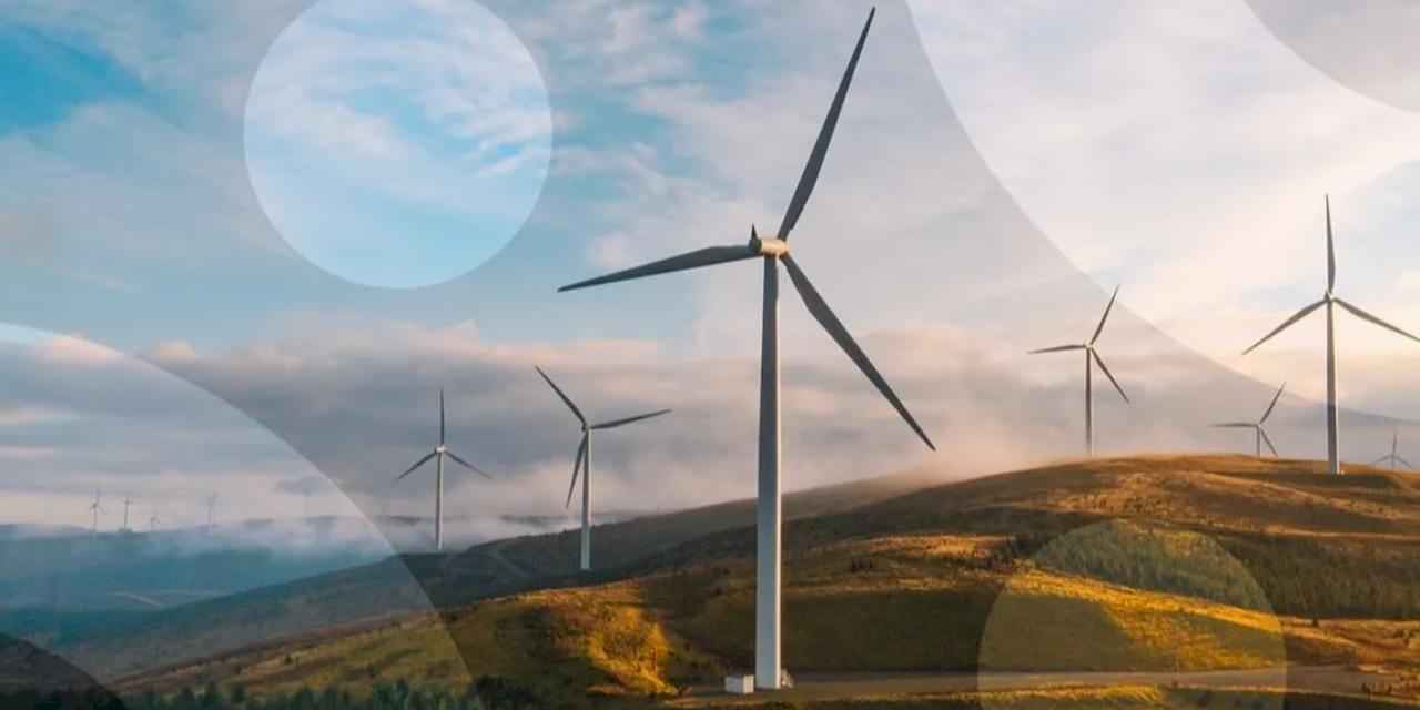 UiPath, Yapay Zekâ ve Otomasyonla Enerjisa’nın Dijital Dönüşümünü Hızlandırdı