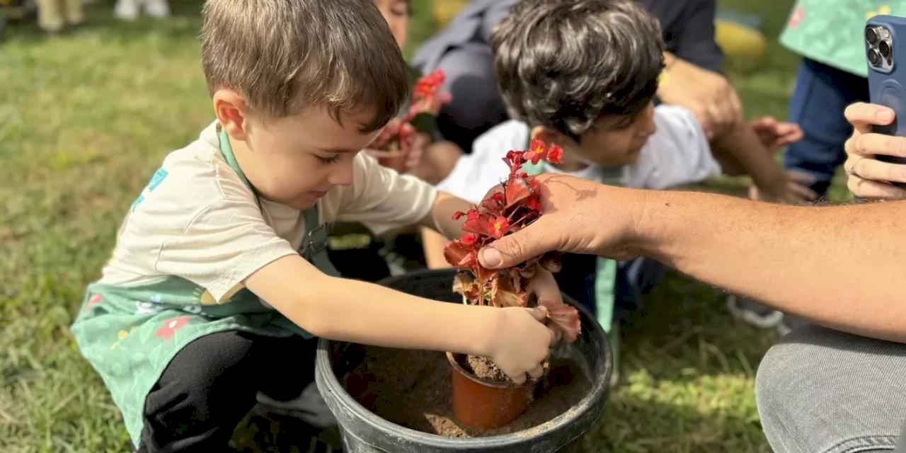 Minik eller Sakarya’da umut ekti