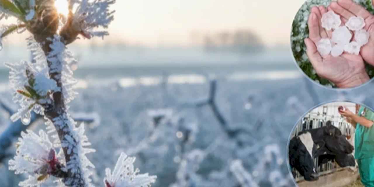 Ekim'de üreticilere 11,6 milyar TL hasar tazminatı ödendi