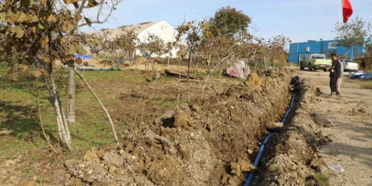 Ordu’da fındıkta verim için damlama sulama dönemi