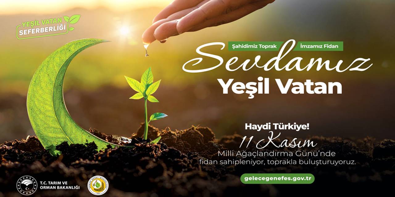 Cumhurbaşkanı Erdoğan'dan 'Yeşil Vatan Seferberliği' Çağrısı