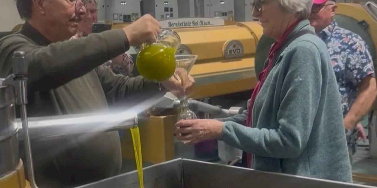 Alman çiftçiler Ayvalık zeytinyağına hayran kaldı