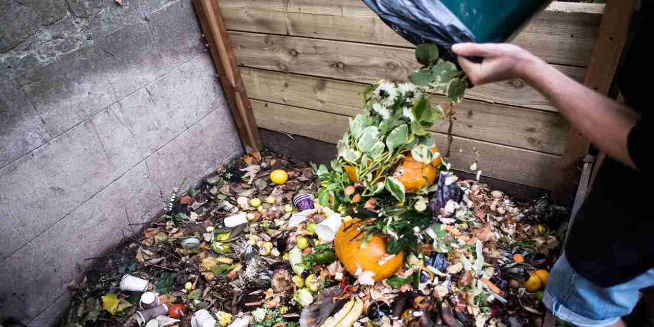 Gıdanın üçte biri israf ediliyor, 700 milyon kişi yatağa aç giriyor