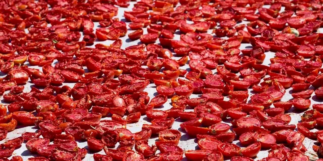 Şifa deposu kuru domates ihracatta dünya ikincisi