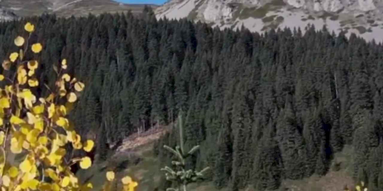 Ilgaz Dağı sonbaharda renk cümbüşü